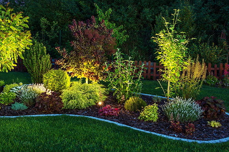 How Landscape Lighting Helps Highlight Walkways, Gardens, and Architecture